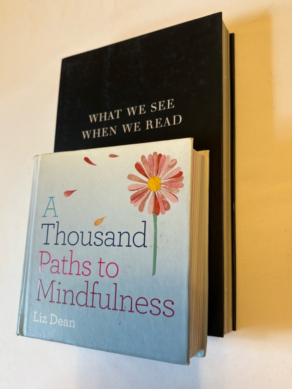 A Thousand Paths to Mindfulness by  Liz Dean - Light Blue Decorative Book